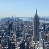 Plant-based Vegan in New York City